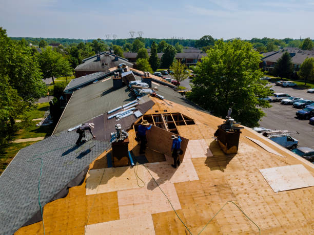 Trusted Flat Roof Repair service in Lobeco, SC - Brentwood Metal Roofing
